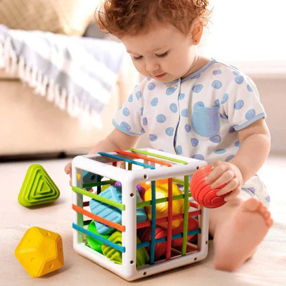 shopnest Box - Educational Box