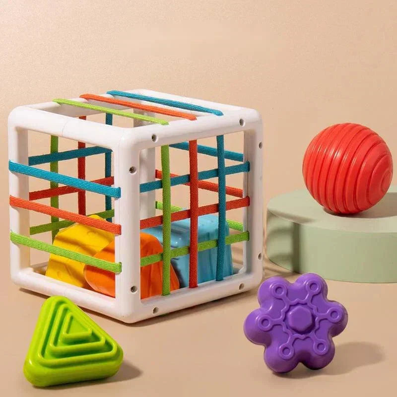shopnest Box - Educational Box