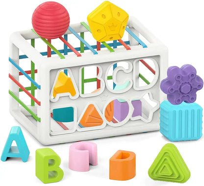 shopnest Box - Educational Box