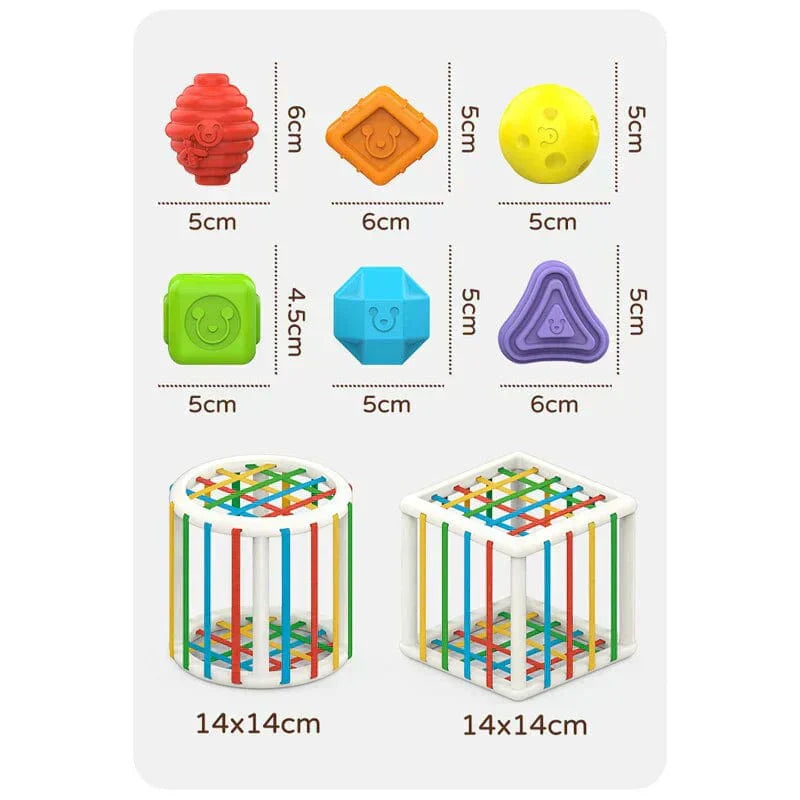 shopnest Box - Educational Box