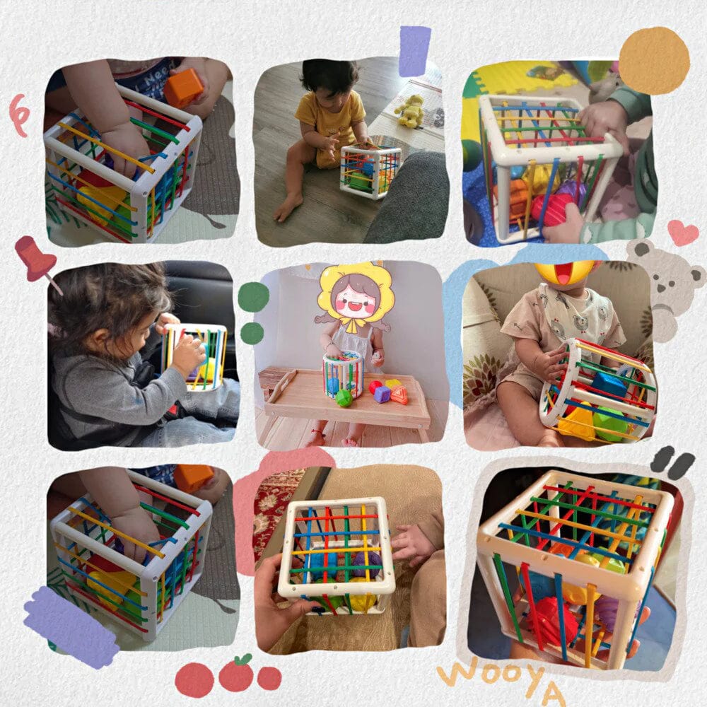 shopnest Box - Educational Box