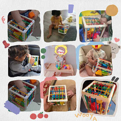 shopnest Box - Educational Box